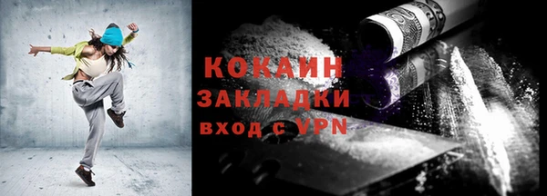 хмурый Алзамай