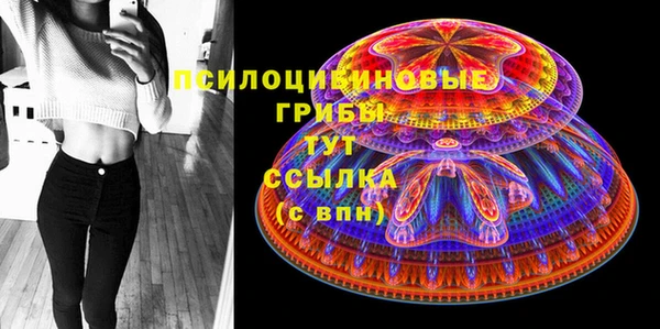 apvp Алексин
