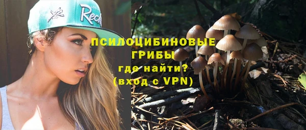 apvp Алексин