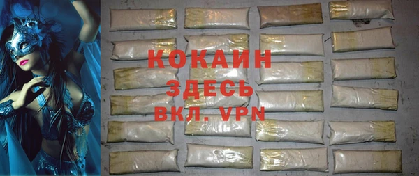 хмурый Алзамай