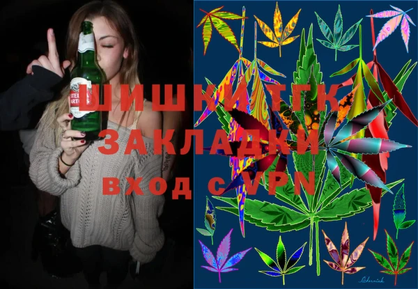 хмурый Алзамай