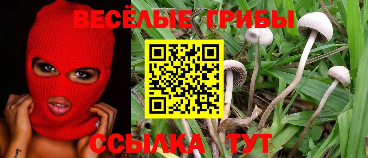 Псилоцибиновые грибы ЛСД Феодосия