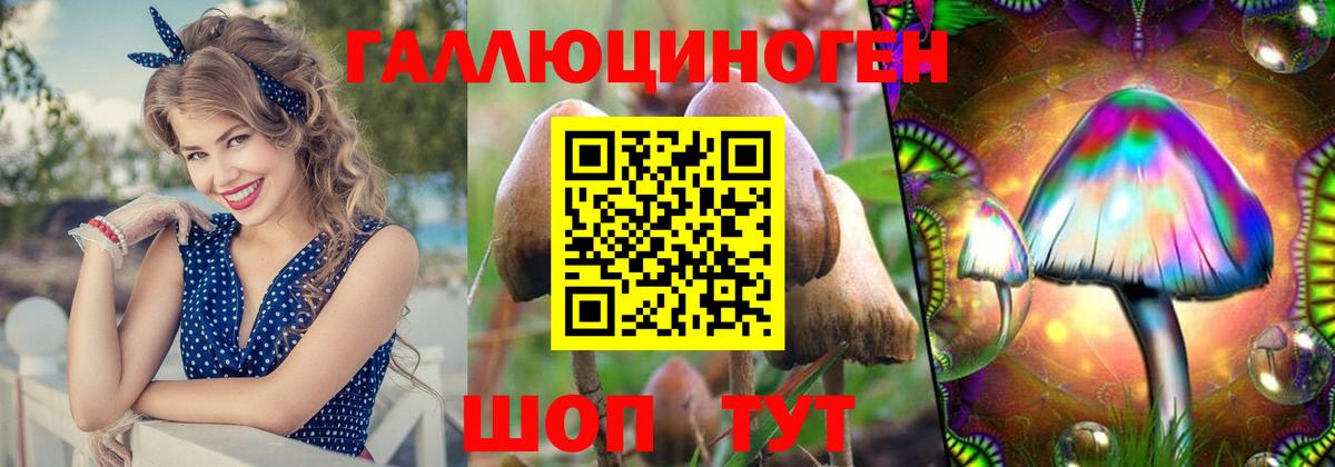 Псилоцибиновые грибы Psilocybe  Вход с VPN  Галлюциногенные грибы прущие грибы  Феодосия 
